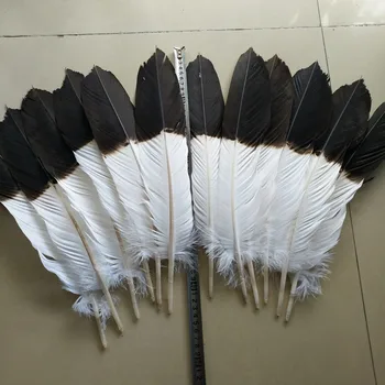 Wholesale 12pcs (1set) complete natural eagle tail feather 40-45 cm / 16-18 inch DIY collection production process fan
Wholesale 12pcs (1set) complete natural eagle tail feather 40-45 cm / 16-18 inch DIY collection production process fan