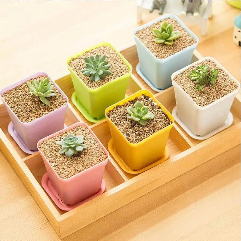 3set/lot Gardening Mini Plastic Flower Pots+plastic tray Vase Square Flower Bonsai Planter Nursery pots 5 color garden supplies
3set/lot Gardening Mini Plastic Flower Pots+plastic tray Vase Square Flower Bonsai Planter Nursery pots 5 color garden supplies