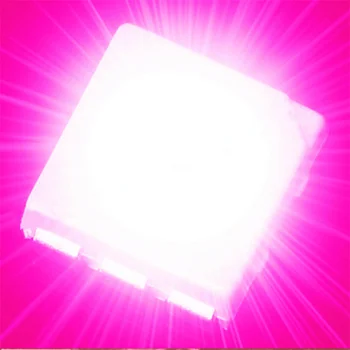 1000 pcs pink PLCC-6 5050 SMD LED SMT LED 3-CHIPS Ultra Bright Light Emitting Diodes Lamp Bead For Car DIY
1000 pcs pink PLCC-6 5050 SMD LED SMT LED 3-CHIPS Ultra Bright Light Emitting Diodes Lamp Bead For Car DIY