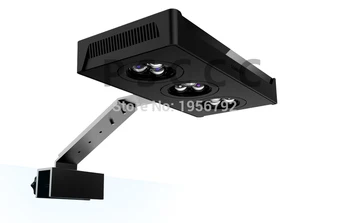 Full Spectrum Clip-on LED Aquarium Hood Lighting for Saltwater Marine Reef Fish Tank Cree LED Fixture Blue+White+Violet
Full Spectrum Clip-on LED Aquarium Hood Lighting for Saltwater Marine Reef Fish Tank Cree LED Fixture Blue+White+Violet