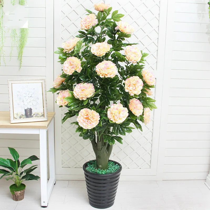 artificial plants 170cm ground cuckoo bonsai peony tree greenery artificial plastic flower home decoration house plants bonsai
artificial plants 170cm ground cuckoo bonsai peony tree greenery artificial plastic flower home decoration house plants bonsai