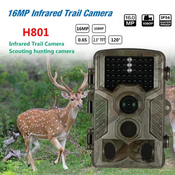 16MP 1080P Wildlife Trail Game Camera Outdoor Hunting Scouting Camera Digital Surveillance Camera Wide Angle Night Vision Camera
16MP 1080P Wildlife Trail Game Camera Outdoor Hunting Scouting Camera Digital Surveillance Camera Wide Angle Night Vision Camera