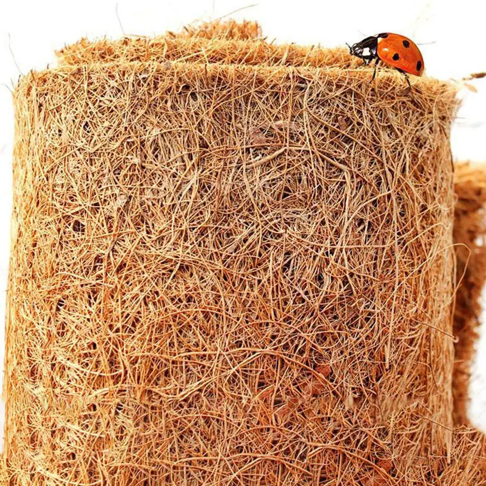 Adeeing Soft Wood Reptile Cushion Mat Pad for Tortoise Lizard Snake Spider Pet Supplies
Adeeing Soft Wood Reptile Cushion Mat Pad for Tortoise Lizard Snake Spider Pet Supplies