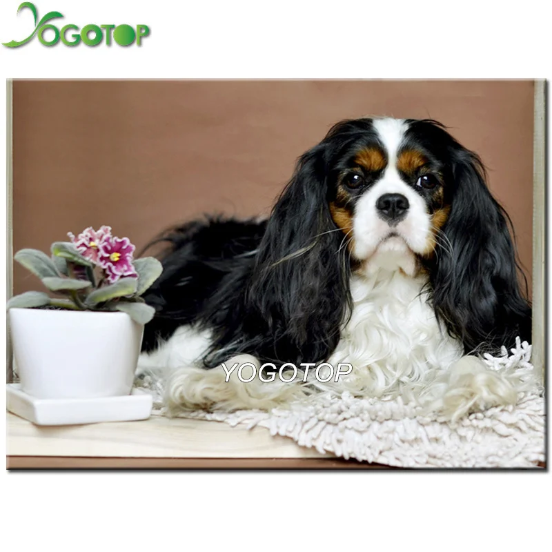 YOGOTOP Diy Diamond Painting Cross Stitch Cavalier King Charles Spaniel Dog pet 5D Mosaic Pattern Full Diamond Embroidery QA291 
YOGOTOP Diy Diamond Painting Cross Stitch Cavalier King Charles Spaniel Dog pet 5D Mosaic Pattern Full Diamond Embroidery QA291