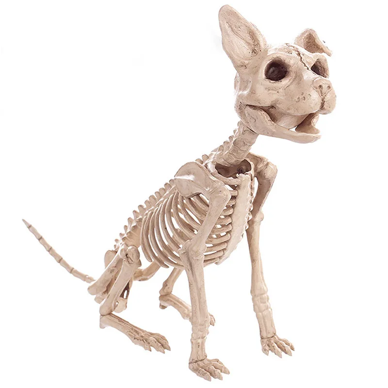 Scary Halloween Skeleton Mouse Dog Cat Skull Bone Ornaments Hallowmas Horror Haunted House Party Decoration
Scary Halloween Skeleton Mouse Dog Cat Skull Bone Ornaments Hallowmas Horror Haunted House Party Decoration