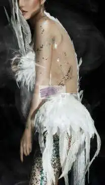 swan dress (2)