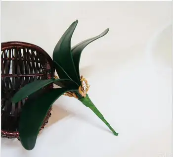 PU orchid leaf wholesale High-grade butterfly orchid leaves the simulation leaves 24pcs/lot free shipping
PU orchid leaf wholesale High-grade butterfly orchid leaves the simulation leaves 24pcs/lot free shipping