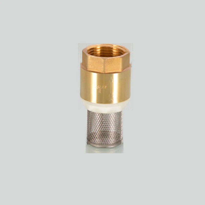1" BSP Female Thread Brass Check Valve With Mesh Strainer Filter Bottom Valve Foot Valve For Water Oil Air
1" BSP Female Thread Brass Check Valve With Mesh Strainer Filter Bottom Valve Foot Valve For Water Oil Air