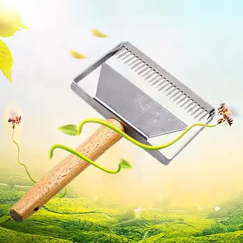 Wooden Handle Honeycomb Honey Uncapping Fork Scraper Shovel Beekeeping Equipment New Arrival
Wooden Handle Honeycomb Honey Uncapping Fork Scraper Shovel Beekeeping Equipment New Arrival