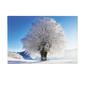 Winter Rugs Fie Tree With Ice Snow White World Wonder Art Printing Non-Slip Doormat Entryways Indoor Front Door Mat Kids Mat
Winter Rugs Fie Tree With Ice Snow White World Wonder Art Printing Non-Slip Doormat Entryways Indoor Front Door Mat Kids Mat