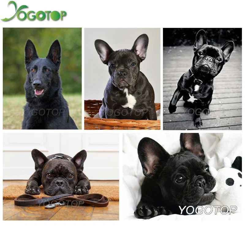 YOGOTOP Needlework Diy Diamond Painting Cross Stitch French Bulldog Dog Diamond Embroidery Square 5D Mosaic Decorative QA124
YOGOTOP Needlework Diy Diamond Painting Cross Stitch French Bulldog Dog Diamond Embroidery Square 5D Mosaic Decorative QA124