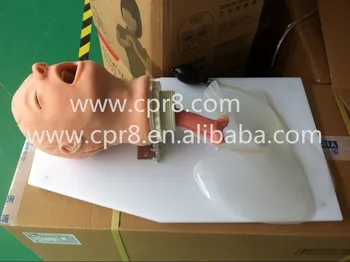 BIX-J50 Trachea Intubation, Classic Trachea Weasand Intubation Cannula Training Model
BIX-J50 Trachea Intubation, Classic Trachea Weasand Intubation Cannula Training Model