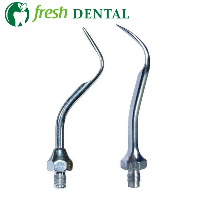 10PCS Ultrasonic Scaler Tips A1 A2 Dental Multifuction Scaler Tip A1 A2 fit AMDENT
10PCS Ultrasonic Scaler Tips A1 A2 Dental Multifuction Scaler Tip A1 A2 fit AMDENT