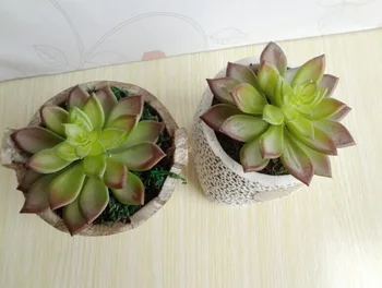 1pcs Artificial Bonsai Mini Succulent Picks DIY Wedding & Home Floral Plant Arrangement Stems Free Shipping
1pcs Artificial Bonsai Mini Succulent Picks DIY Wedding & Home Floral Plant Arrangement Stems Free Shipping