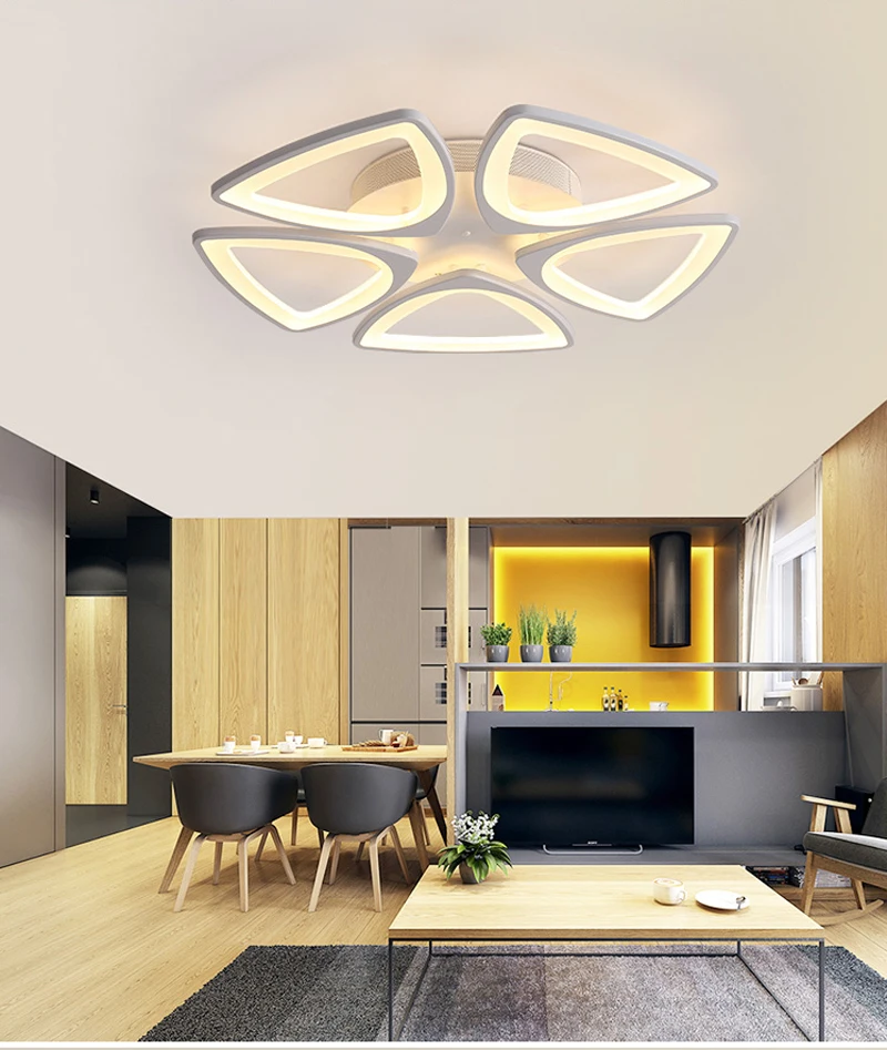 modern ceiling light (19)