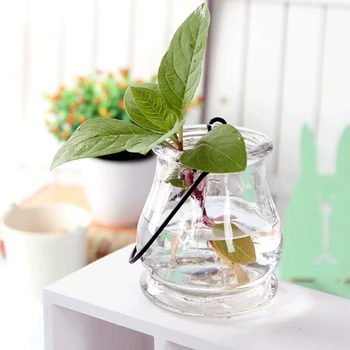 2pcs/bag Ornamental Vases Big Infusion Bag or Bottle Hydroponic Container Home Decorations Hydroponic Glass Vase
2pcs/bag Ornamental Vases Big Infusion Bag or Bottle Hydroponic Container Home Decorations Hydroponic Glass Vase