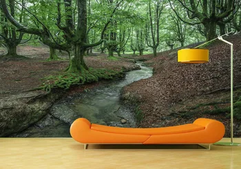 Custom Wallpaper Murals Forest Stream Self Adhesive Vinyl Wall Sticker Poster Wall Paper Art Wall Painting Living Room
Custom Wallpaper Murals Forest Stream Self Adhesive Vinyl Wall Sticker Poster Wall Paper Art Wall Painting Living Room