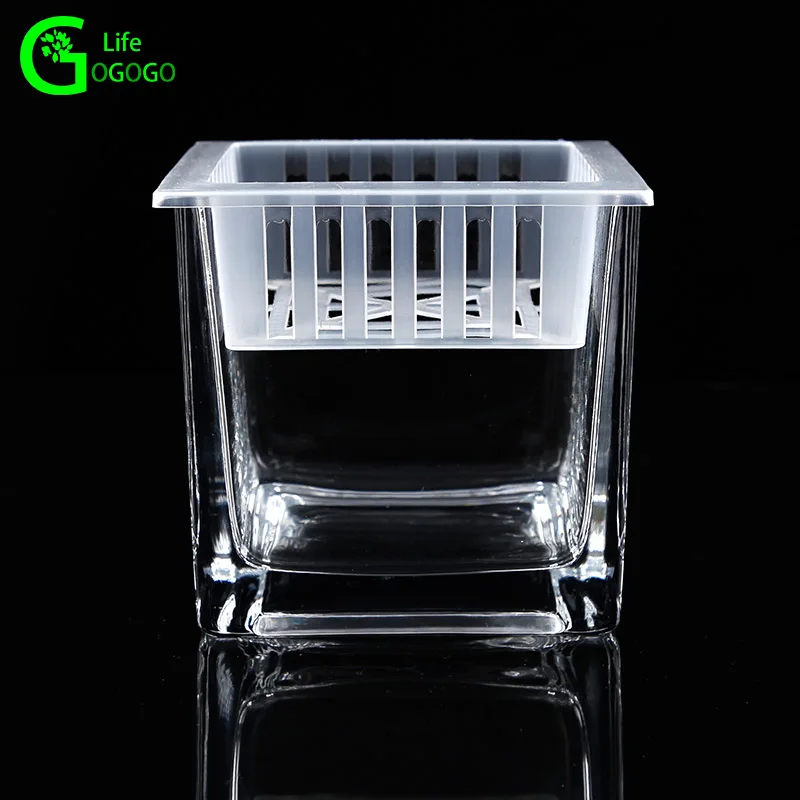 1pcs Fashion Square Hydroponic Glass Vase Transparent Square Cylinder Grass Flower Pot Glass Container Home Ornament Decoration
1pcs Fashion Square Hydroponic Glass Vase Transparent Square Cylinder Grass Flower Pot Glass Container Home Ornament Decoration