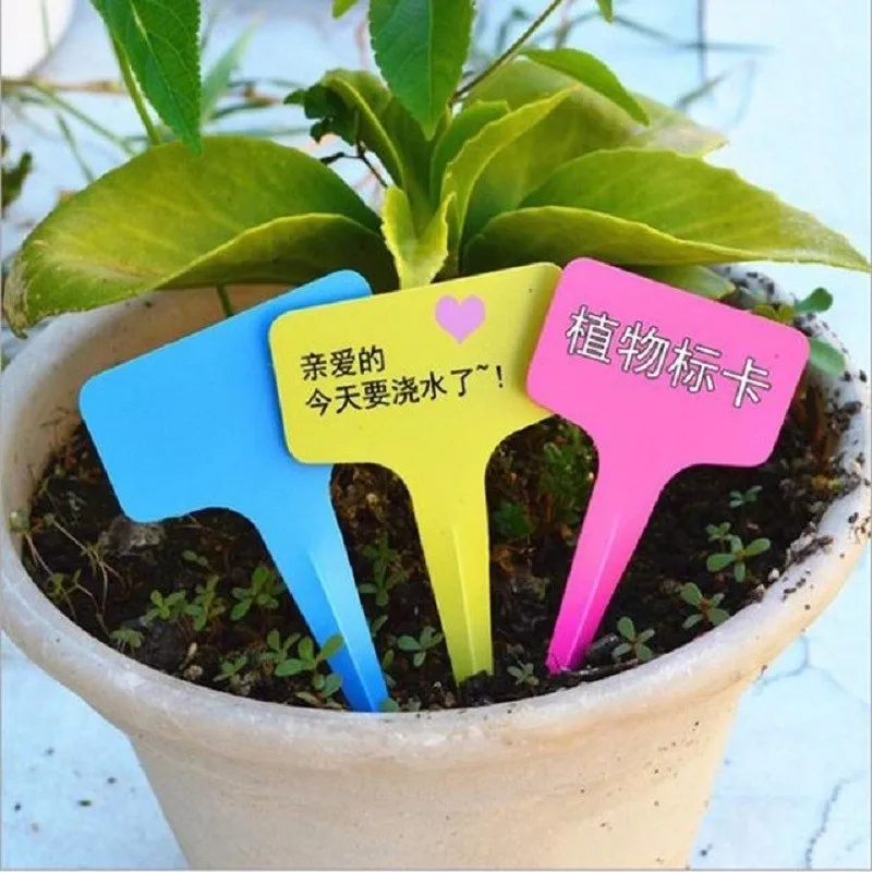 10pcs Plant Grown Tags Flower Pot Sign Card to Remind Watering Feeding T-type Tags Garden Nursery Labels Markers
10pcs Plant Grown Tags Flower Pot Sign Card to Remind Watering Feeding T-type Tags Garden Nursery Labels Markers