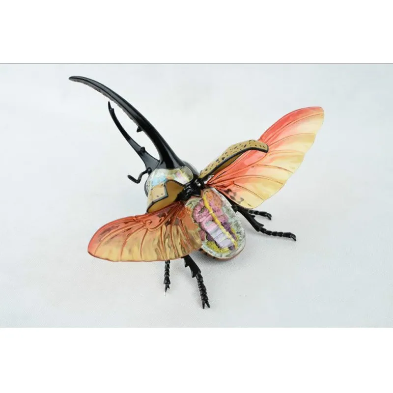 4D Animal Model Beetle Anatomy Assembled Model 27cm Medical Puzzle Assembly Animal Insect Model Kids Educational Science Toys
4D Animal Model Beetle Anatomy Assembled Model 27cm Medical Puzzle Assembly Animal Insect Model Kids Educational Science Toys