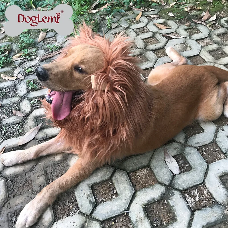 1PCS pet cosplay Transfiguration Headgear Hairpiece Lion Mane Winter Warm Wig Cat Dog Costume
1PCS pet cosplay Transfiguration Headgear Hairpiece Lion Mane Winter Warm Wig Cat Dog Costume