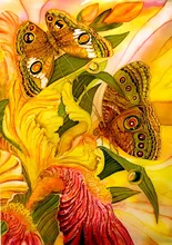 DH Art No Frame Canvas Art Printings Butterfly Oil Painting Cuadros Decoracion Pastoral Style Wall Art For Living Room Bedroom
DH Art No Frame Canvas Art Printings Butterfly Oil Painting Cuadros Decoracion Pastoral Style Wall Art For Living Room Bedroom
