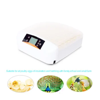 56S Eggs Home Incubator Automatic Incubator Hatching Machine For Chicken Duck LED Egg Tester With Temperature Control 220V
56S Eggs Home Incubator Automatic Incubator Hatching Machine For Chicken Duck LED Egg Tester With Temperature Control 220V
