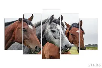 5 Pcs Hd 3 Horse Canvas Print Painting For Living Room Modern Decoration Wall Art Picture Dropship Wholesale Game Other size 1
5 Pcs Hd 3 Horse Canvas Print Painting For Living Room Modern Decoration Wall Art Picture Dropship Wholesale Game Other size 1