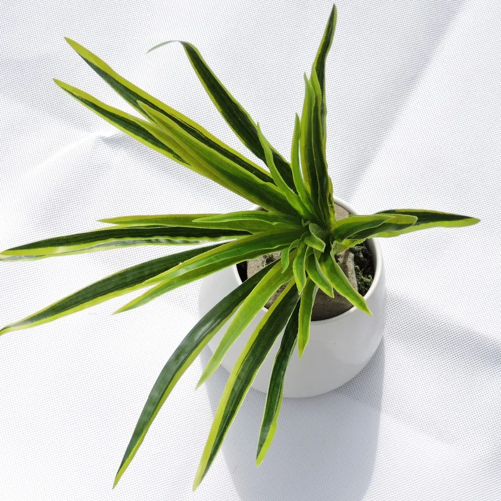 Latex 4pcs X 30 Leaf Artificial Grass Orchid Plant Branch Tree Wedding Home Wall Furniture Decor Green
Latex 4pcs X 30 Leaf Artificial Grass Orchid Plant Branch Tree Wedding Home Wall Furniture Decor Green