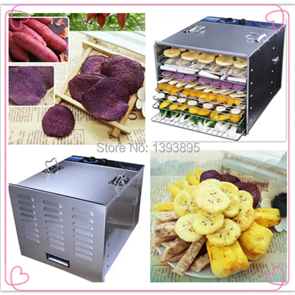 Small type and best selling 10 trays dryer for vegetable and fruits
Small type and best selling 10 trays dryer for vegetable and fruits