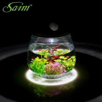 Saim New Arrival Water Garden Fish Tank Water Wonders Aquarium Kit Tank 1PCS Fish Bowls With Adapter for Aquarium Fish Tank
Saim New Arrival Water Garden Fish Tank Water Wonders Aquarium Kit Tank 1PCS Fish Bowls With Adapter for Aquarium Fish Tank