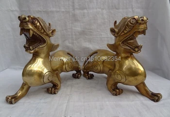10" Folk Chinese Brass Animals FengShui Wealth Dragon Unicorn Beast Statue Pair
10" Folk Chinese Brass Animals FengShui Wealth Dragon Unicorn Beast Statue Pair