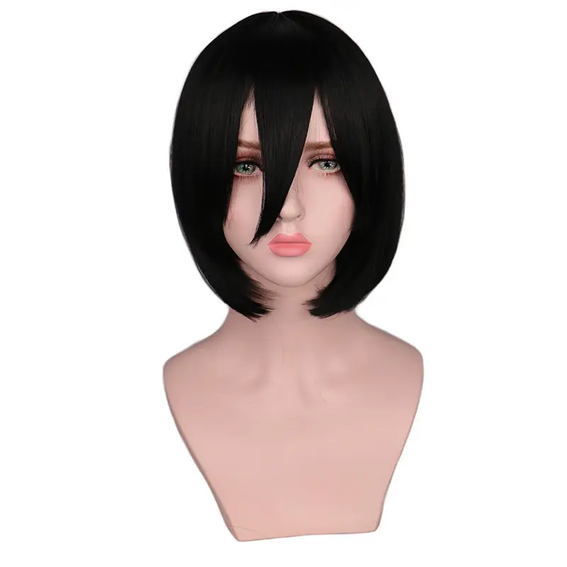 QQXCAIW Short Straight Attack on Titan Cosplay Wigs Mikasa Black Heat Resistant Synthetic Hair Wigs
QQXCAIW Short Straight Attack on Titan Cosplay Wigs Mikasa Black Heat Resistant Synthetic Hair Wigs