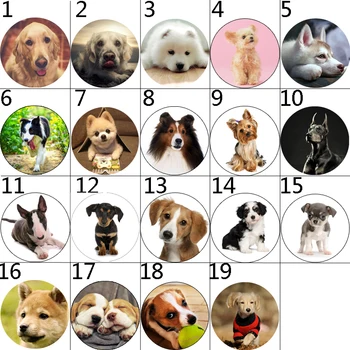 10mm 12mm 14mm 16mm 20mm 25mm 036b 12pcs/lot Dog Mix Round Glass Cabochons Jewelry Findings 18mm Snap Button Charm Bracelet
10mm 12mm 14mm 16mm 20mm 25mm 036b 12pcs/lot Dog Mix Round Glass Cabochons Jewelry Findings 18mm Snap Button Charm Bracelet