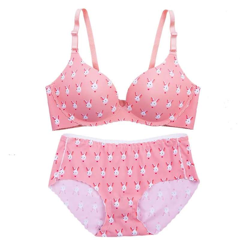 Women Push Up Lingerie Bra Briefs Set Girl Seamless Bra Set Sweet Cartoon Bra Bralette Set
Women Push Up Lingerie Bra Briefs Set Girl Seamless Bra Set Sweet Cartoon Bra Bralette Set