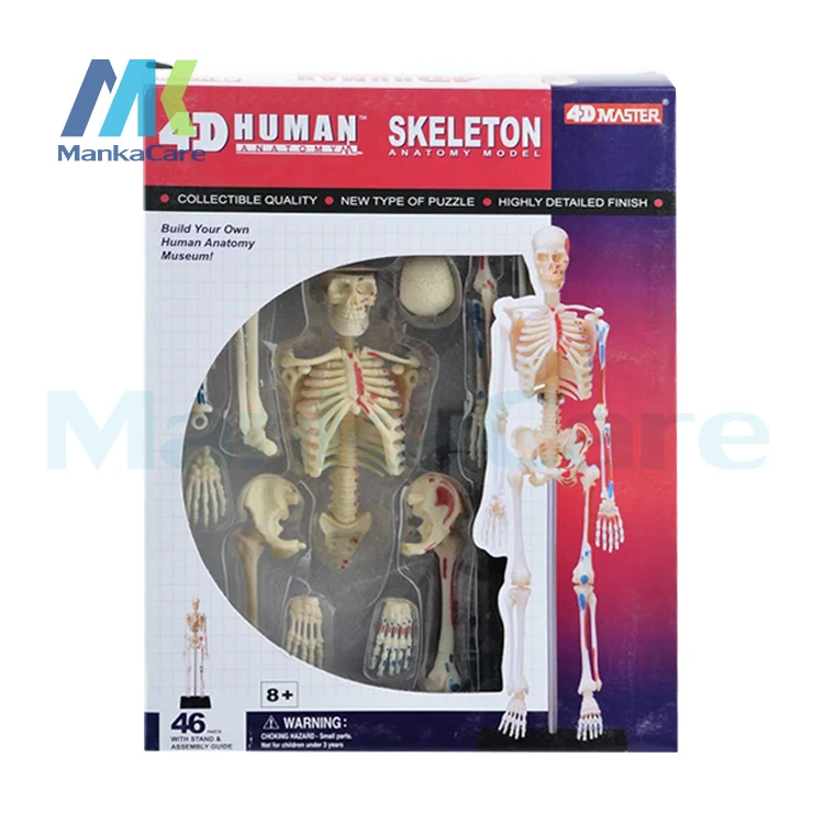 4D MASTER Human 46 шт. в сборе, Игрушечная модель скелета, цельная кость тела
4D MASTER Human 46 шт. в сборе, Игрушечная модель скелета, цельная кость тела