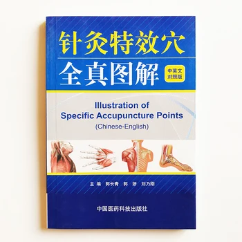 Illustration of Specific Acupuncture Points (Chinese-English Version) Chinese Traditional Medicine Bilingual Book
Illustration of Specific Acupuncture Points (Chinese-English Version) Chinese Traditional Medicine Bilingual Book
