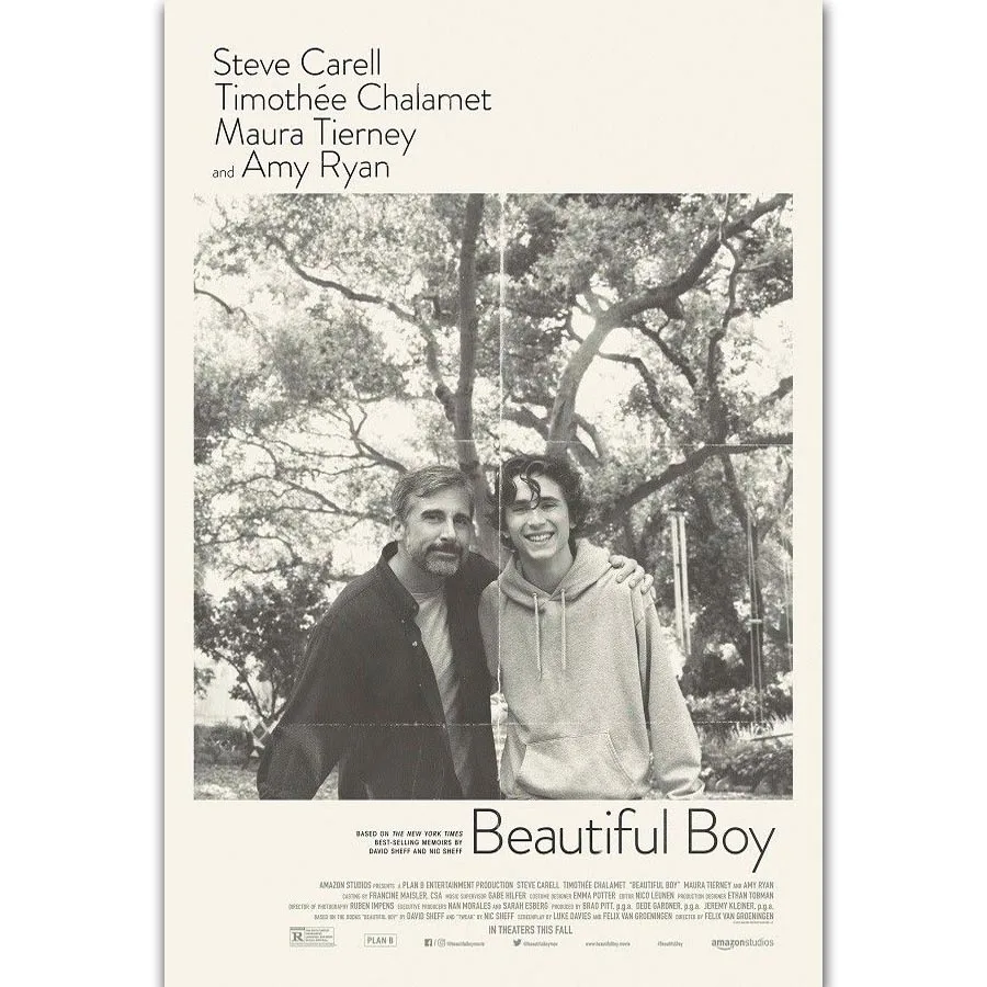FX682 Beautiful Boy Movie Felix Van Groeningen Timothee Chalamet Film Custom Poster Art Silk Canvas Home Room Wall Print Decor