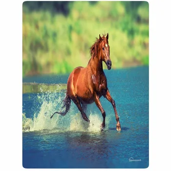 Blanket Comfort Warmth Soft Plush Easy Care Machine Wash Run the horse and the river camouflage Sofa Bed Throw Kid blanket
Blanket Comfort Warmth Soft Plush Easy Care Machine Wash Run the horse and the river camouflage Sofa Bed Throw Kid blanket