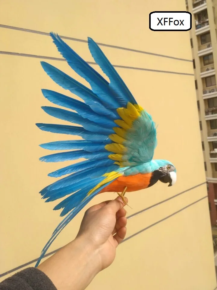real life light blue&orange parrot model foam&feather simulation wings parrot bird gift about 30x45cm xf0239
real life light blue&orange parrot model foam&feather simulation wings parrot bird gift about 30x45cm xf0239