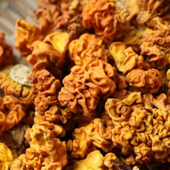 High quality pure natural wild golden ear, Yellow ear, Enhance immunity, Improve skin, Free shipping
High quality pure natural wild golden ear, Yellow ear, Enhance immunity, Improve skin, Free shipping