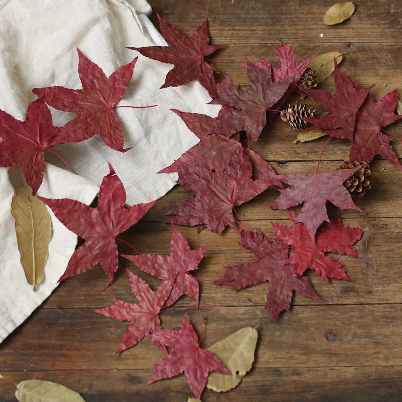 Natural Maple Leaf Dry Leaves Autumn Fall Foliage Red Original Color for Photography Props Photo Studio Accessories Decoration
Natural Maple Leaf Dry Leaves Autumn Fall Foliage Red Original Color for Photography Props Photo Studio Accessories Decoration