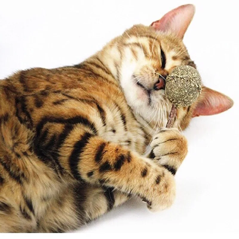 Cat Toys Catnip Chewing Funny Cats Stick Teeth Cleaning Natural Catnip Lollipop Shape Funny Ball with Silvervine
Cat Toys Catnip Chewing Funny Cats Stick Teeth Cleaning Natural Catnip Lollipop Shape Funny Ball with Silvervine