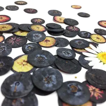 20pcs Dried Pressed 1cm Fruit Blueberry Slices Plant Herbarium For Jewelry Photo Frame Phone Case Craft DIY Making Accessories
20pcs Dried Pressed 1cm Fruit Blueberry Slices Plant Herbarium For Jewelry Photo Frame Phone Case Craft DIY Making Accessories