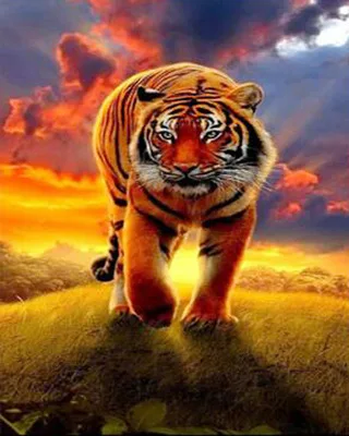 Diamond Painting tiger Cross Stitch diamond Painting Landscape mosaic diamonds wall stickers home decor Unique gift
Diamond Painting tiger Cross Stitch diamond Painting Landscape mosaic diamonds wall stickers home decor Unique gift