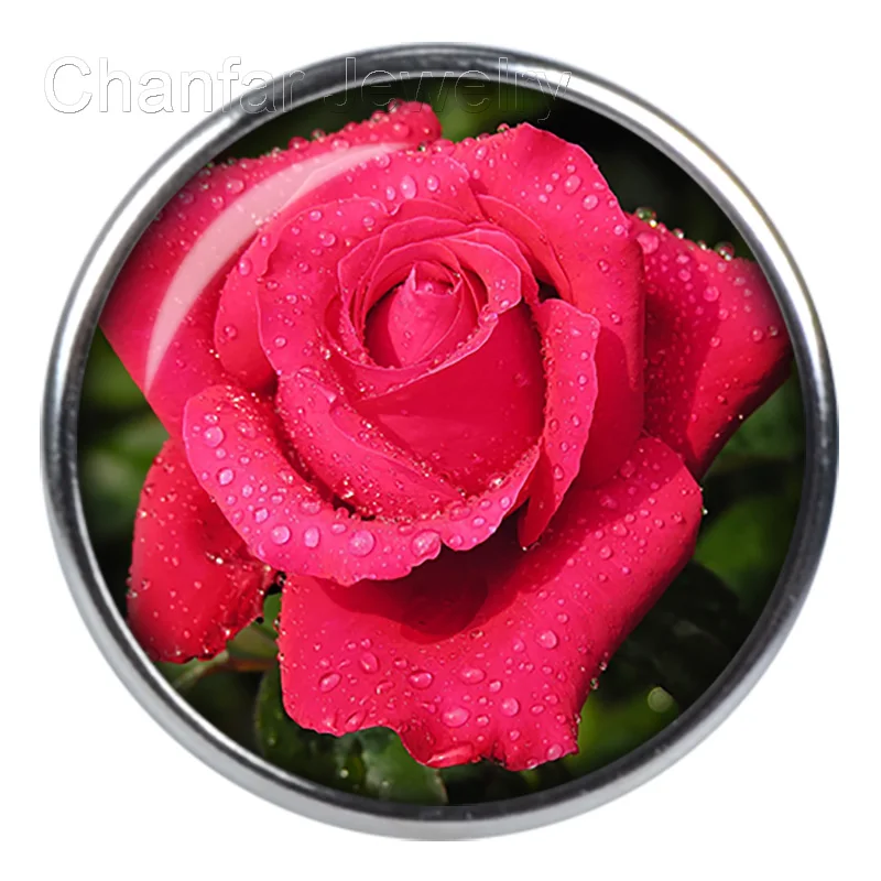 High quality Flower pattern metal surround glass snap buttons jewelry for leather bracelet 12mm 18mm 20mm etc for choice
High quality Flower pattern metal surround glass snap buttons jewelry for leather bracelet 12mm 18mm 20mm etc for choice