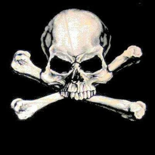 SKULL AND CROSS BONES BLACK TEE SHIRT SIZE XL adult T209 pirate t new