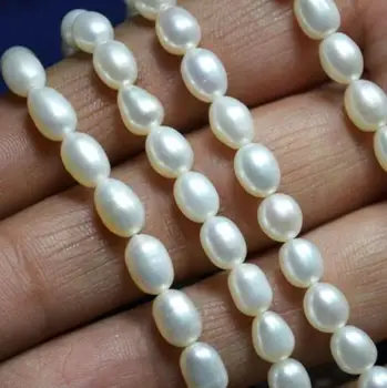 Wholesale 10 Strand Natural Freshwater Pearls Beads 7-8mm Loose Bead >>> women jewerly Free shipping
Wholesale 10 Strand Natural Freshwater Pearls Beads 7-8mm Loose Bead >>> women jewerly Free shipping