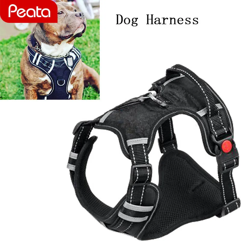 Safety Pet Dog Collar Breathable Multi-Functional Pet Traction Chest Strap Reflective Design Comfortable No Pull Dog Harness Y
Safety Pet Dog Collar Breathable Multi-Functional Pet Traction Chest Strap Reflective Design Comfortable No Pull Dog Harness Y