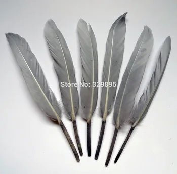 1000pcs/lot Gray Color 10-15cm DIY Plumes Dyed Single Goose feathers For Crafts Dress/jewelry/Christmas/Halloween decoration
1000pcs/lot Gray Color 10-15cm DIY Plumes Dyed Single Goose feathers For Crafts Dress/jewelry/Christmas/Halloween decoration